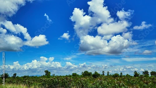 Time lapse fields green with blue sky is cloudy