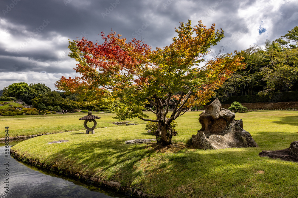Beautiful tree isolated in Japanese garden of Okayama city