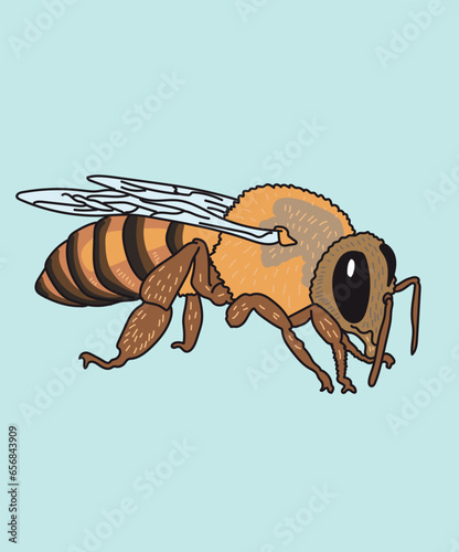 Bee Honeybee Insect Side View