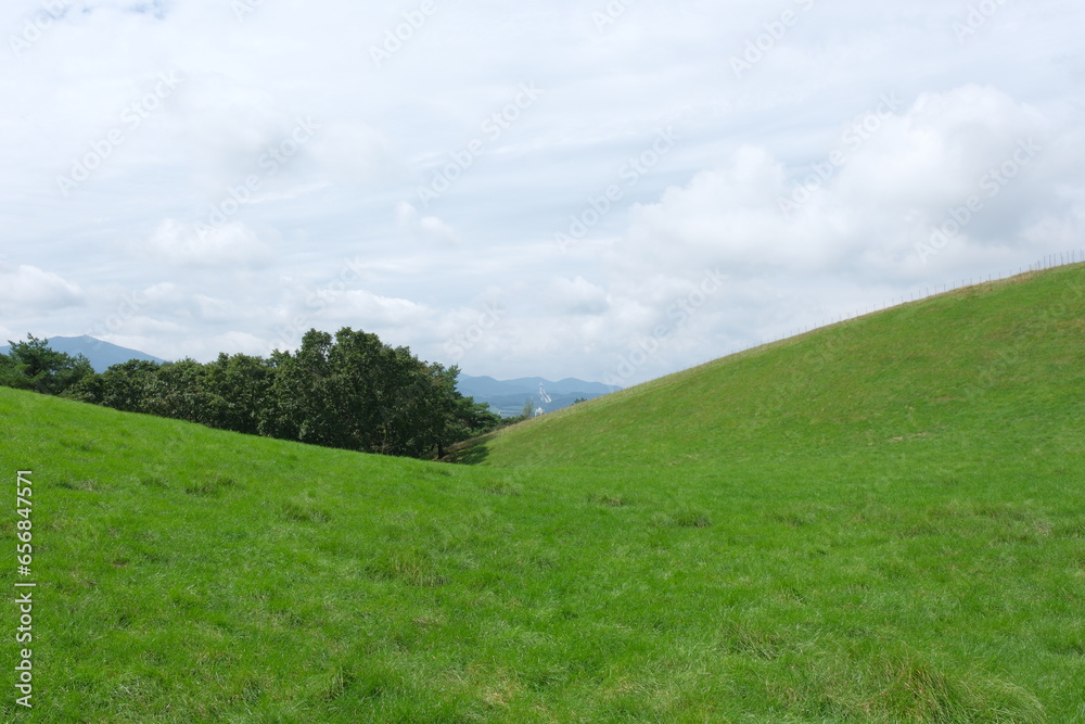 Obraz premium 대관령 양떼목장 녹색 초원의 하늘이 보이는 고원 벌판 나무와 풀과 산책로 들판의 평화로운 경관