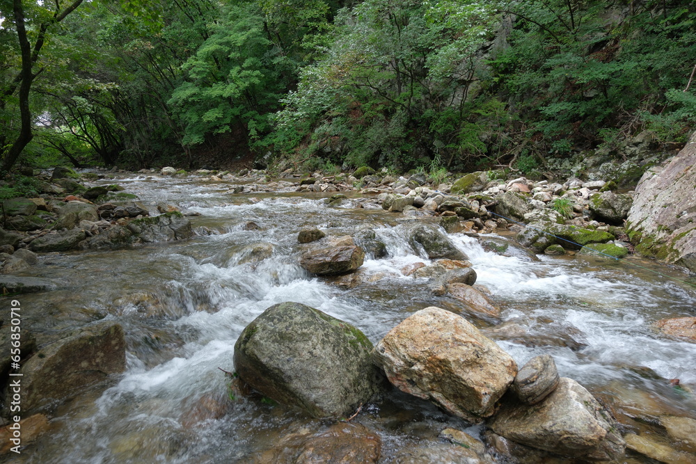 산속 냇가 물이 흐르는 바위 돌 폭포 계곡 자연환경의 풍경 Stock-Foto | Adobe Stock