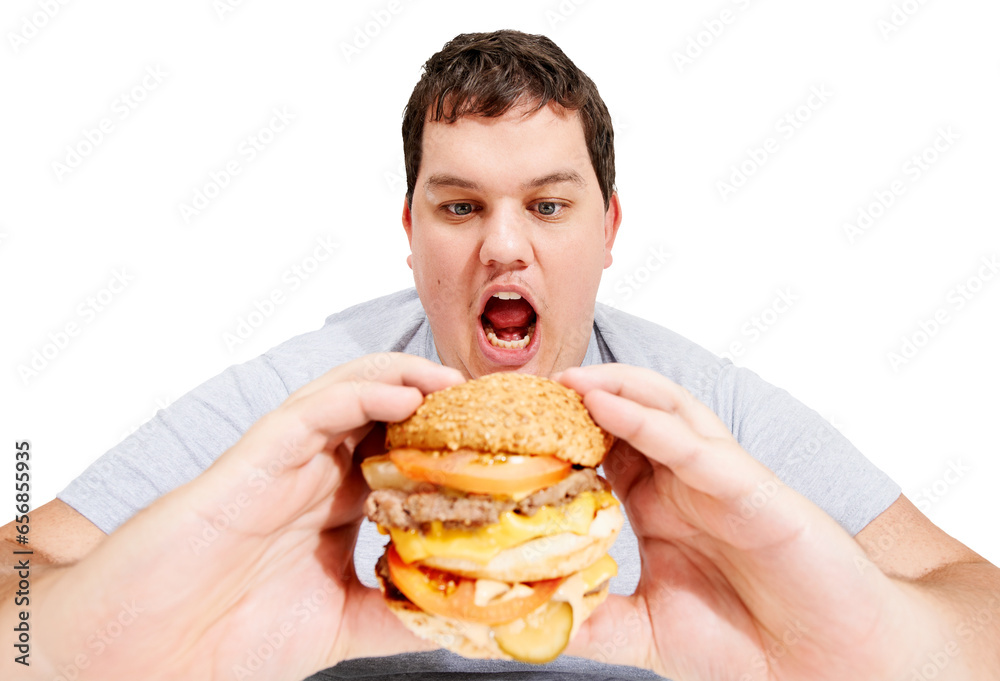 Man, burger and holding for eating, mouth and isolated on transparent png background. Fat person, condiments and unhealthy for diet, meat and obesity from lunch for hungry, overweight and fast food Man, burger and holding for eating, mouth and isolated on transparent png background. Fat person, condiments and unhealthy for diet, meat and obesity from lunch for hungry, overweight and fast food