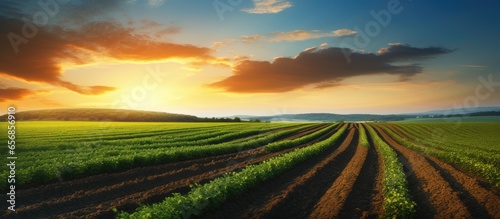 Rural scenery with sunset over cultivated land