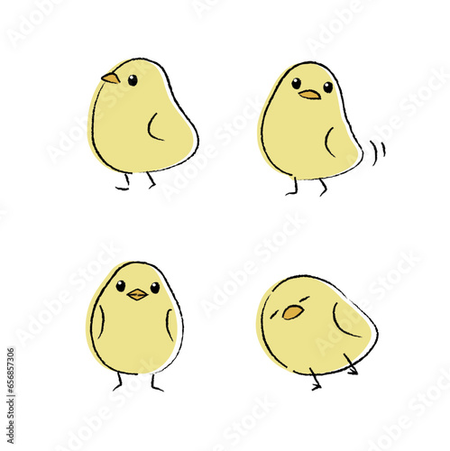 ふわふわひよこのイラスト　カラー