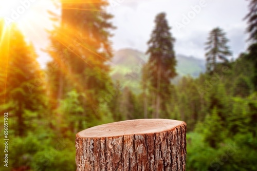 Tree wood Podium on nature background, © BillionPhotos.com
