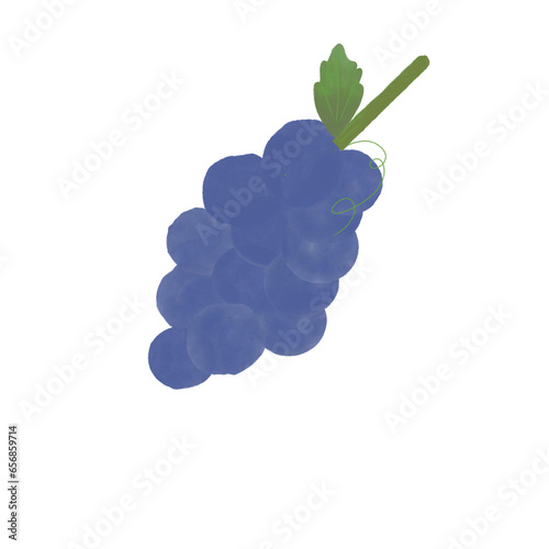 Obraz na plátně Bunch of grapes