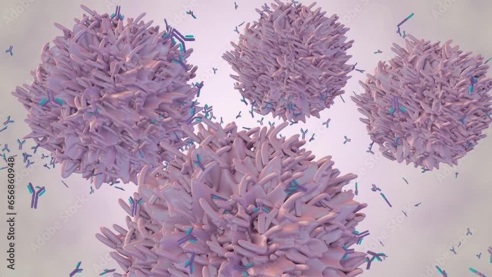 white blood cells called lymphocytes, which are part of the body’s immune system. B cells normally help protect the body against germs by making proteins called antibodies 3d rendering