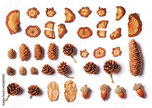 autumn composition, pattern made of dry leaves, acorns, the trunk of a tree is dried and cut into small pieces, thanksgiving day.
