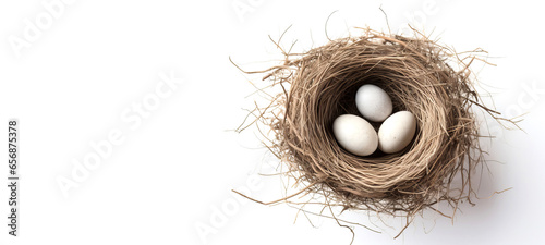 nest with eggs on a white background, copy space photo