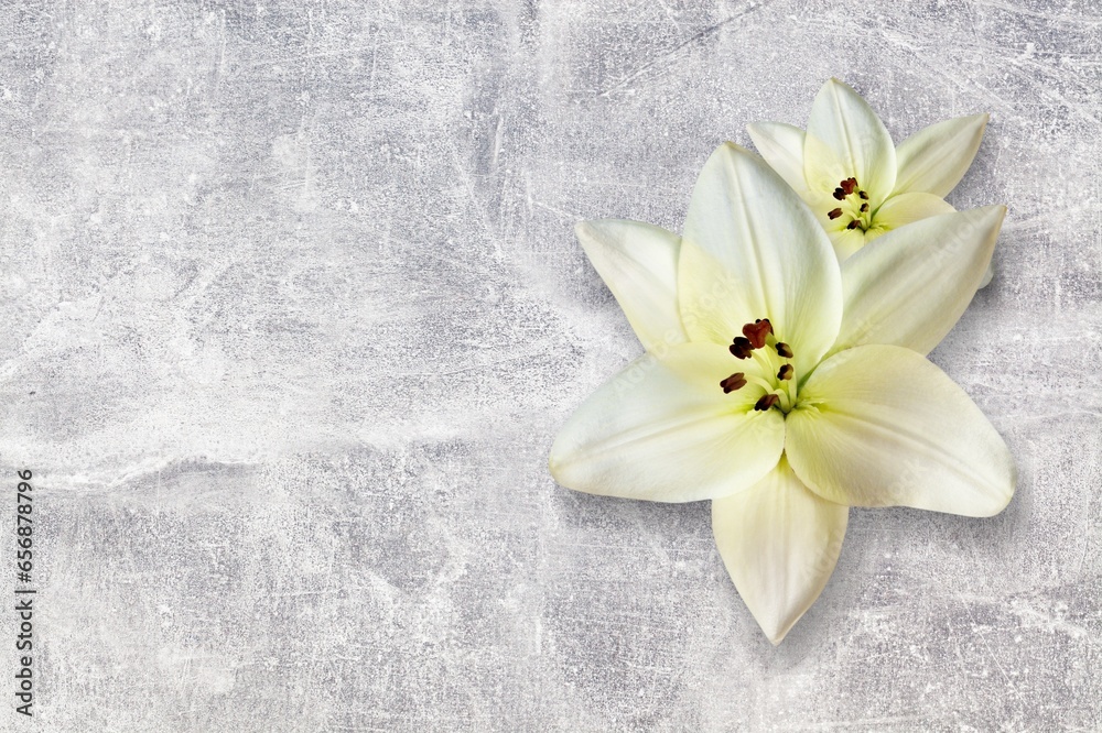 White beautiful fresh lily flowers on desk