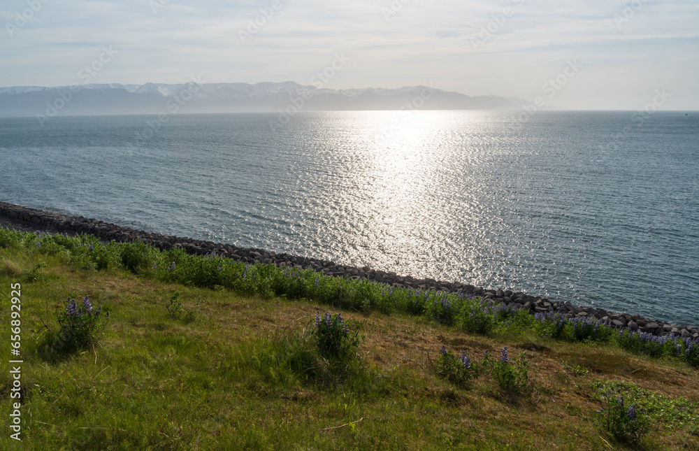 Views off the Coast of Húsavík