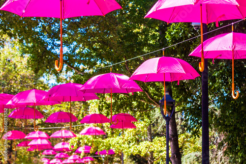Décoration de parapluies roses suspendus photo