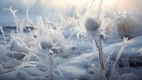 Winter scenery with frosty ice flowers, snow, and crystals