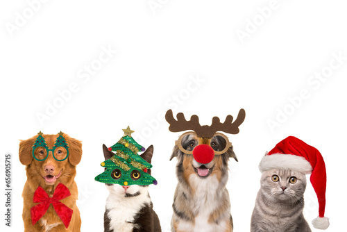 Portraits of  dogs and cats in a row wearing  christmas decoration with space for copy photo