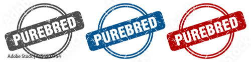 purebred stamp. purebred sign. purebred label set