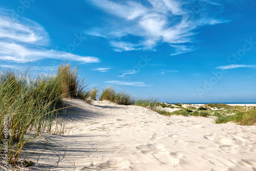 Dunes on the island of Borkum  Germany