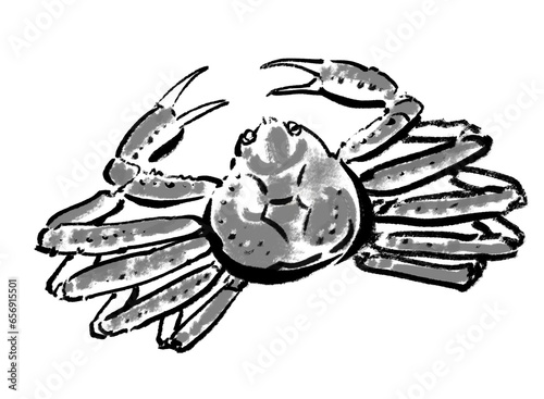 ズワイガニ-モノクロ