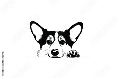 Corgi's Innocent Glance: A Sweet Vector Portrait of a Pup Secretly Peeking