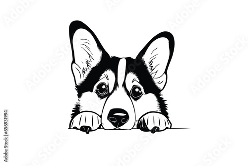 Corgi's Innocent Glance: A Sweet Vector Portrait of a Pup Secretly Peeking