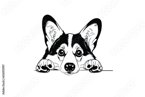 Corgi's Innocent Glance: A Sweet Vector Portrait of a Pup Secretly Peeking