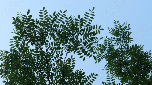 더운 여름날 그늘