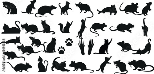 cat and rat silhouettes vector illustration in various dynamic poses. Perfect for pet lovers, animal-themed designs, and children’s projects. cat, rat, mice, mouse silhouette, pet, animal