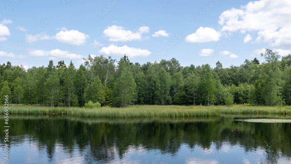 Lake in green nature with blue sky and white clouds Lake in green nature with blue sky and white clouds