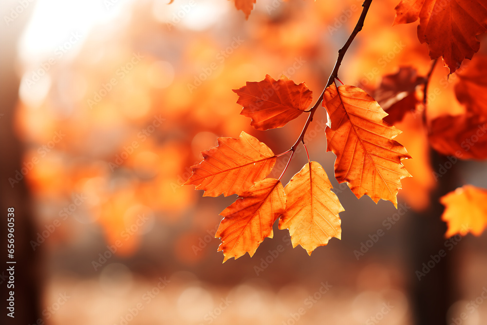 Beautiful autumn maple leaves on a sunny day Background, Autumn maple leaves wallpaper, Close-up shot of maple leaves in a park. Generative Ai. Beautiful autumn maple leaves on a sunny day Background, Autumn maple leaves wallpaper, Close-up shot of maple leaves in a park. Generative Ai.