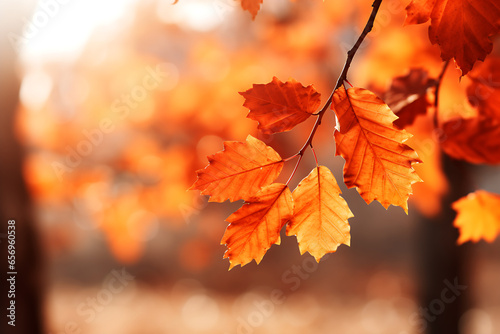 Beautiful autumn maple leaves on a sunny day Background  Autumn maple leaves wallpaper  Close-up shot of maple leaves in a park. Generative Ai.