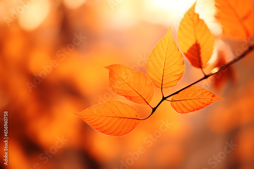 Beautiful autumn leaves on a sunny day Background, Autumn leaves wallpaper, Close-up shot of autumn leaves in a park. Generative Ai.