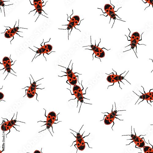 Seamless pattern with bug-soldier or Firebugs isolating on white background. Vector illustration