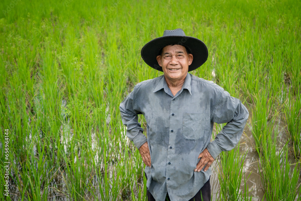 Image of a farmer standing in a field