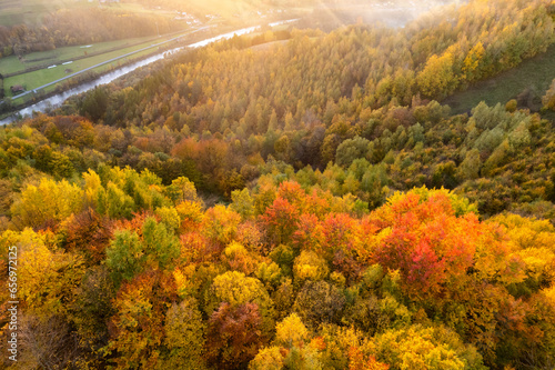 Autumn forest in mountains during sunset, fall season.