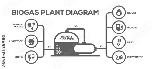 Biogas Plant Diagram. Biogas Production Phases: Illustrated Educational Plan from Farming to Energy