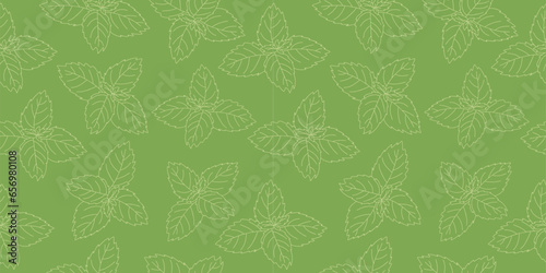 Seamless pattern of mint leaf icon. Isolated illustration of a mint leaf icon in linear style on a green background