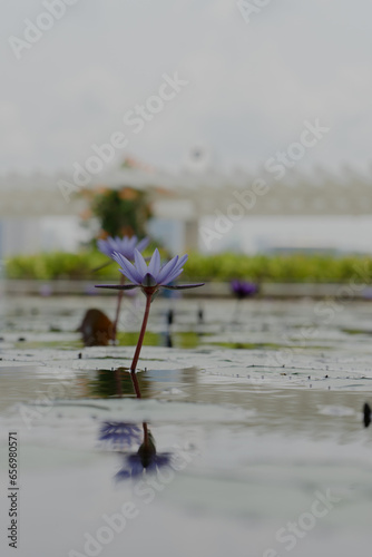 Canvas Print Singapore