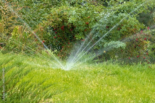 Automatic sprinkler system watering the lawn. Lawn irrigation in public park. photo