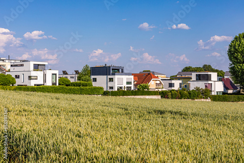Germany, Baden-Wurttemberg, Ludwigsburg, Green summer field with modern suburban houses in background photo