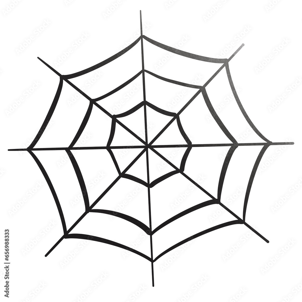 Fototapeta premium spider and web