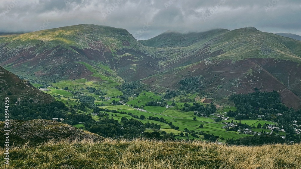 Naklejka premium Photo by Panco