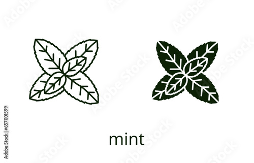 Mint icon, line editable stroke and silhouette
