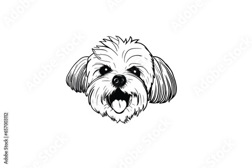 Cute Havanese: A Vector Illustration of the Adorable Havanese Dog
