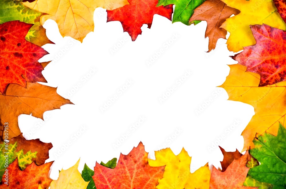 Artful colorful autumn background. Frame with colored leaves on a white copy space.