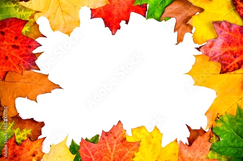 Obraz na płótnie Artful colorful autumn background. Frame with colored leaves on a white copy space. w salonie