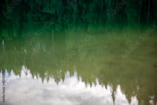 Reflection of trees in the lake with blue sky and white clouds. Reflection of trees in the water. Abstract natural background for design.