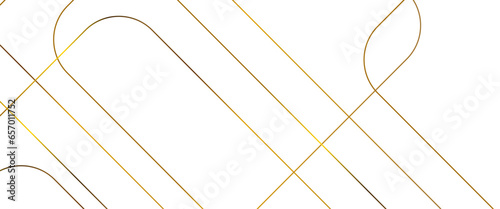 Abstract black circle shape with elegant gold lines on black background, black Business paper with white lines, gold silver polygon poster, royal premium geo name, new year circle Design. 