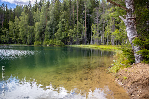 Lake in the forest. Background for the site. Empty space for text