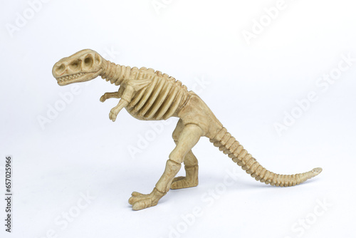 Fossil of T-Rex on white background