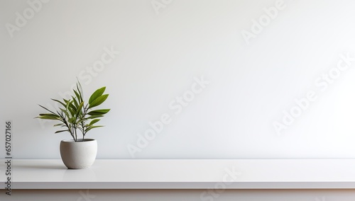 Universal minimalistic background for product presentation. White empty shelf with a flower on a light gray wall.