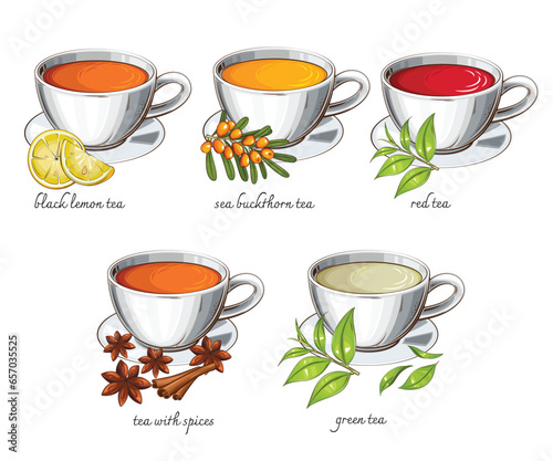 Tea Collection, Different Cups of Tea, Black Red Green Tea. Tea Realistic Illustration. Perfect for Tea Shop, Cafe Banner
